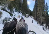 Kerst en Oud en Nieuw in Karinthië, Gmünd foto 30