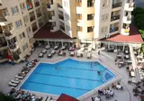 Kleopatra Royal Palm foto 1
