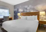 Cambria Hotel LAX foto 18
