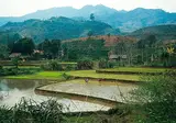 20-daagse rondreis Vietnam Compleet foto 5