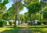 Union Lido Mare foto 34