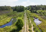 Hofparken Wiltershaar foto 16