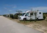 Gala foto 18