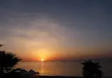 Le Tartarughe Mare foto 3