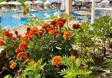 BSA Holiday Park Hotel foto 7