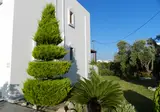 Triantafillas Apartments foto 12
