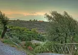 Tenuta di Roccadia foto 19