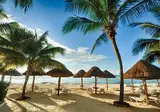 Dreams Sands Cancun Resort & Spa foto 18