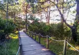 Caminha foto 9