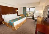 Ramada Plaza Resort Orlando foto 5