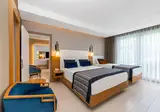 Sidera Kirman Premium foto 33