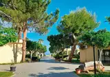 Voi Le Muse Resort foto 10