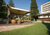 Detelina Hotel foto 6