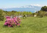 Popilia Country Resort foto 15
