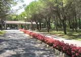 Belvedere Pineta foto 7