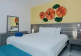Bakour Punta Cana Suites foto 18