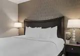 Peacock Suites foto 18
