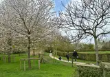 Urban Gardens Ieper foto 11