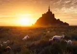 Ontdek Normandië en Bretagne foto 16