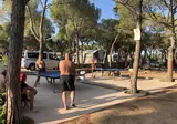 Internacional Palamos foto 12