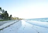 Kilifi Bay Beach Resort foto 3
