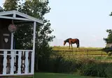 Bed and Breakfast Welgelegen foto 17