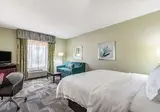Hampton Inn & Suites OrlandoSouth Lake Buena foto 3