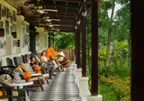 Nandini Jungle Resort & Spa foto 28
