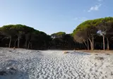 Selema Camping foto 11