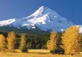 Volcanic Peaks to Sparkling Shores foto 10