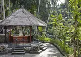 Hotel Tjampuhan & Spa foto 18