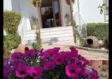 Alibey Han Otel foto 2