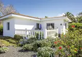Bungalows Los Guanches foto 6