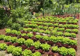 Appartementen Quinta Splendida Wellness & Botanical Garden foto 37