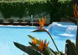 Hotel Acapulco foto 12
