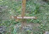 La Sierrecilla foto 8