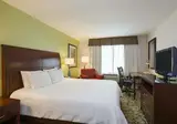 Hilton Garden Inn JFK Airport foto 5