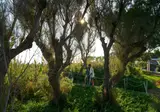 Agapi Beach Resort foto 18