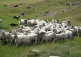 Het hart van Schotland foto 12