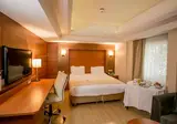 Holiday Inn Istanbul City foto 3