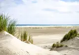 Skylgerduin foto 2