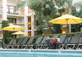 Palm Mountain Resort & Spa foto 18