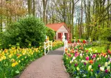 Nederland in bloei foto 19