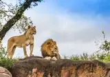 Zuid-Afrika in stijl foto 2