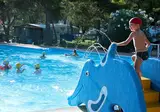 Camping Capo Vieste foto 4