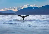 Ontdek Alaska foto 15