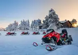 8 daagse excursiereis Arctic Light in the Forest foto 1