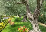 Residence Villa Collina foto 23