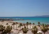 whala!beach foto 15