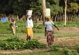 9 daagse combinatiereis Beleef het échte Gambia foto 5